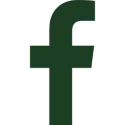 fb-icon